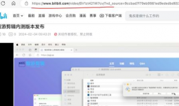 怎么下载b站视频,B站视频下载全攻略