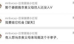 吃瓜网站爆料网站大全,一网打尽热门爆料平台